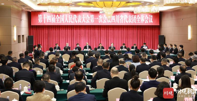 四川代表团举行全体会议讨论通过代表团全团建议 王晓晖主持 黄强出席